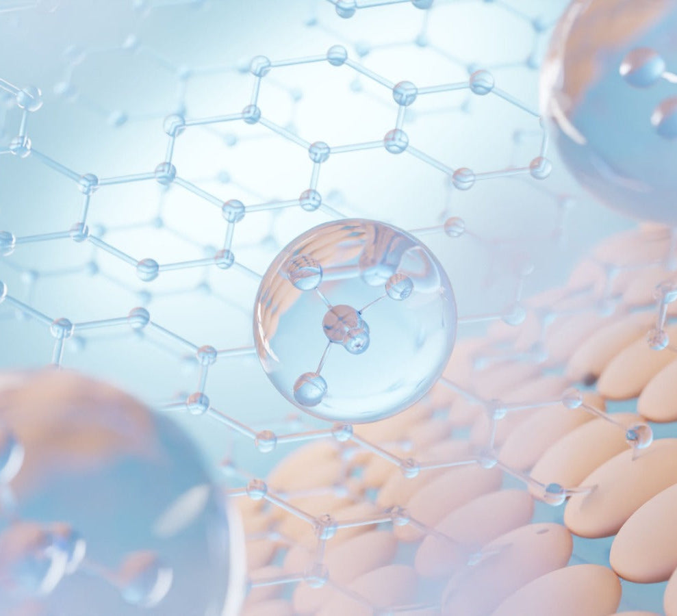 THE SCIENCE OF CELLULAR RECOVERY